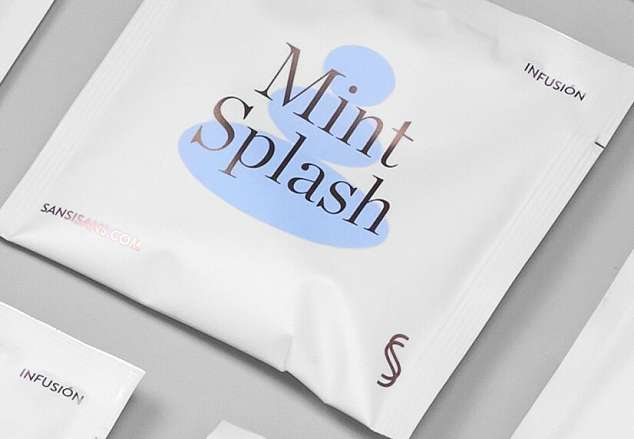 Tea in a silk bag, Mint Splash, Sans & Sans 4g
