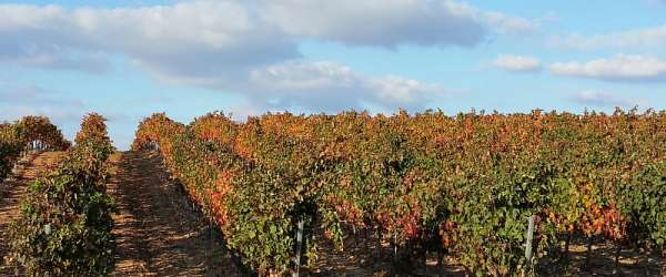 La Rioja není jen víno